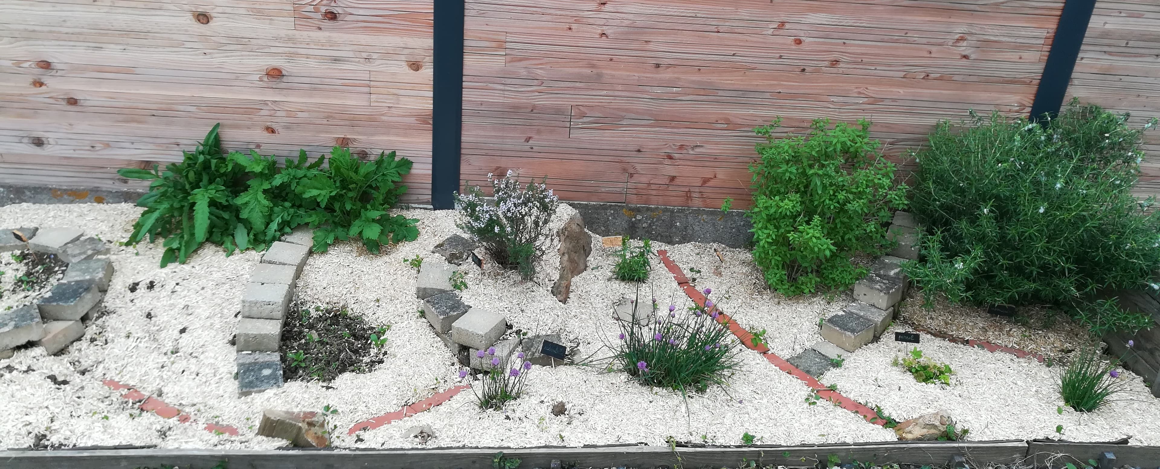 Création d'un massif d'aromates