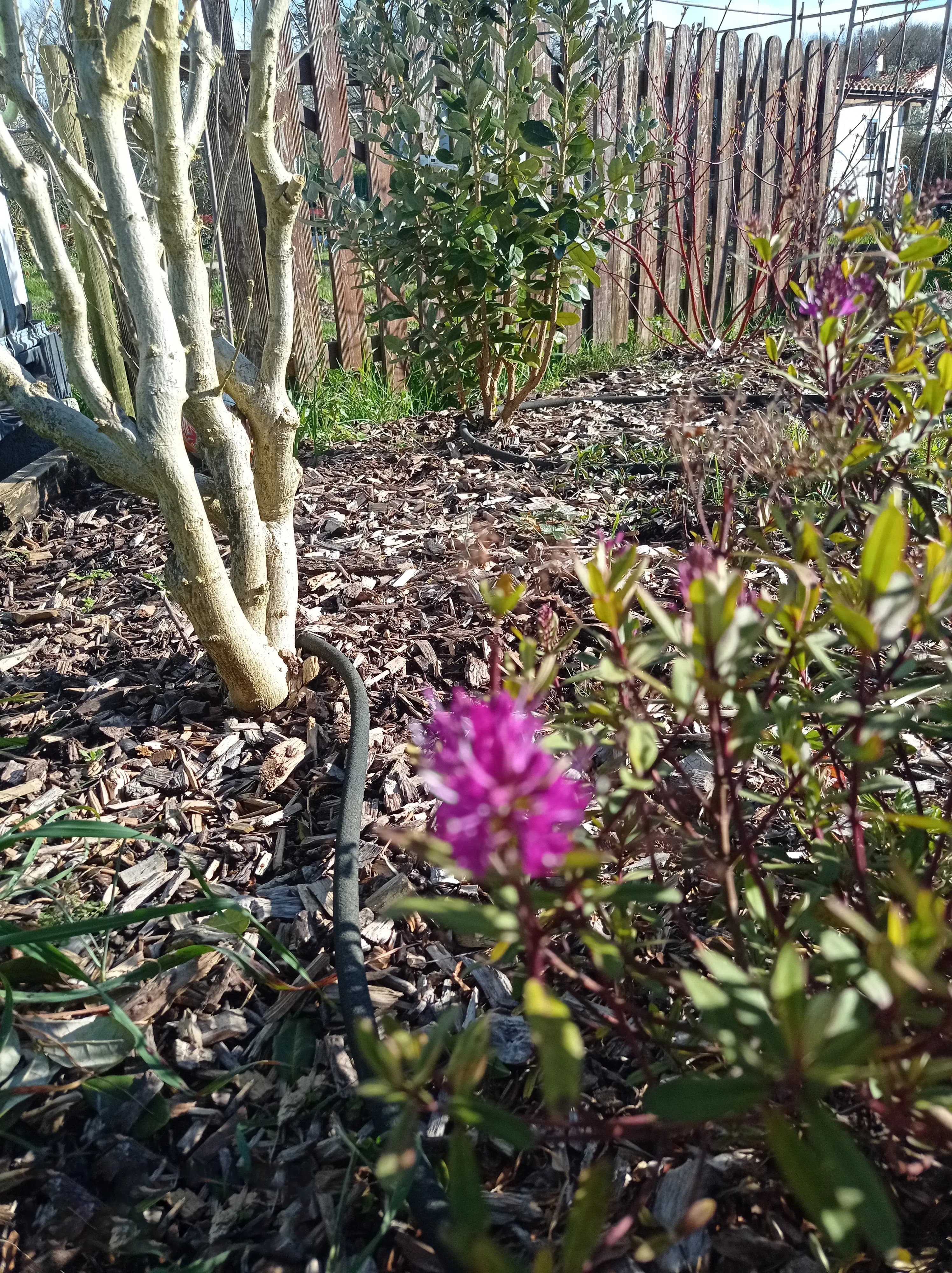 Processus de crédit d'impôt