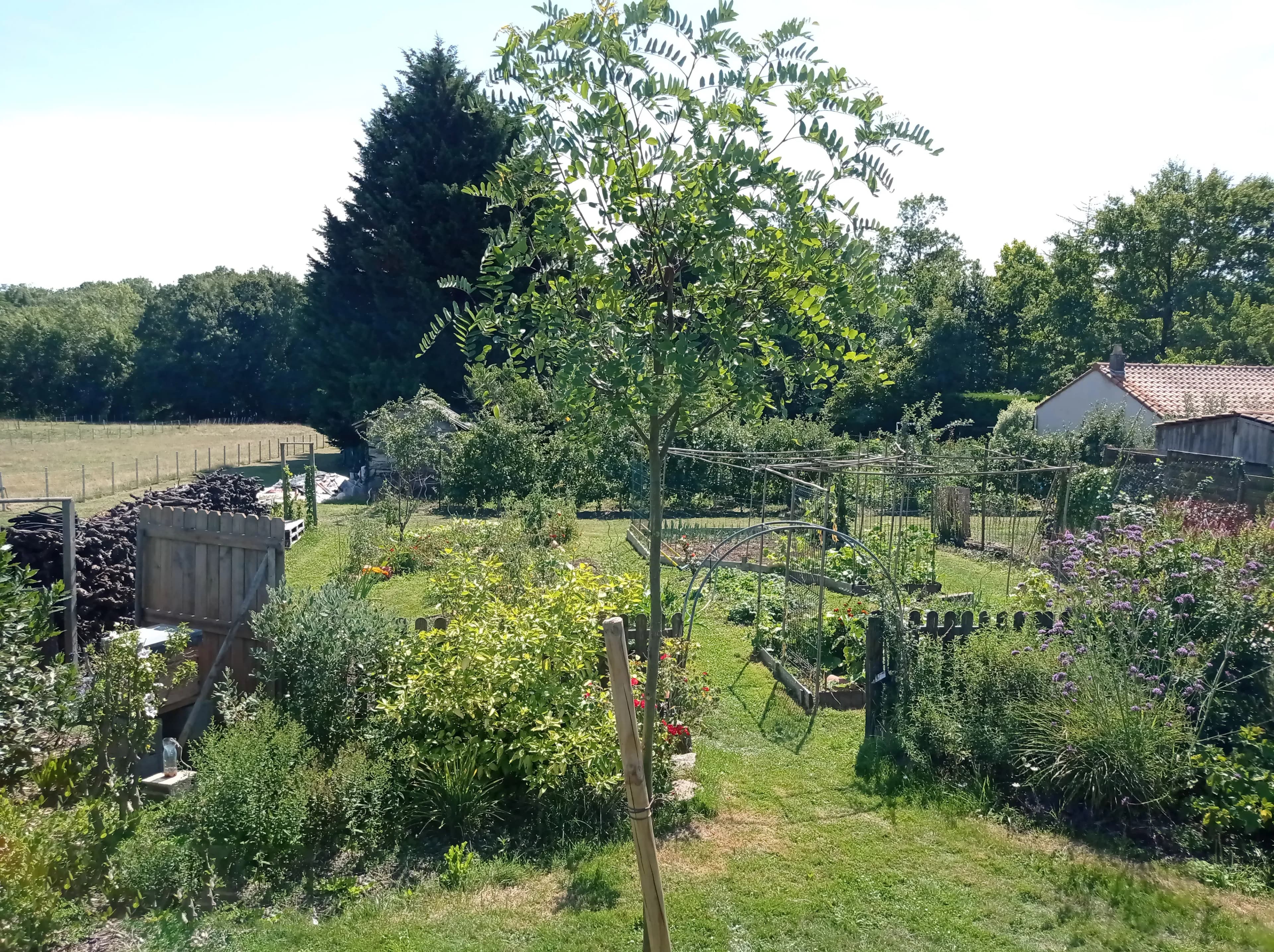 Travail dans un jardin